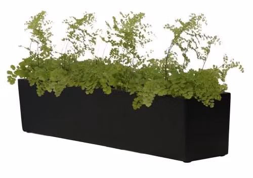 Primrose Fibreglass Herb Garden Indoor Outdoor Window Box Planter, Black, H: 20 cm, L: 76 cm
