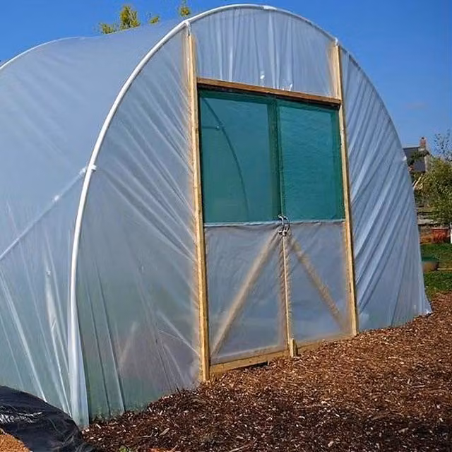 Direct Polytunnels Heavy Duty Professional Straight Sided Polytunnel Kit in Yellow and Transparent with Galvanised Steel Frame