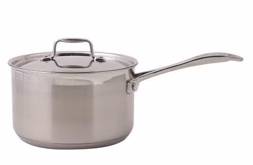 Swift Stainless Steel Uncoated Saucepan with Lid, Silver, Diameter: 22 cm