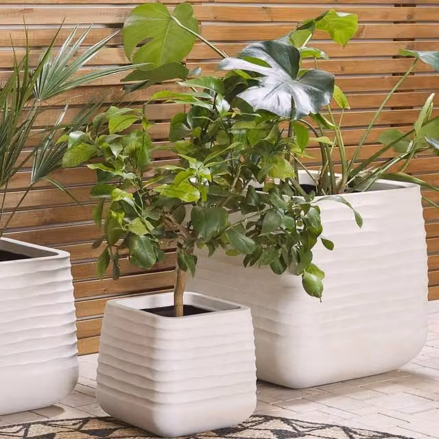 Wyld and Coco White Plastic Planter, W: 50 cm, D: 49 cm, H: 49 cm
