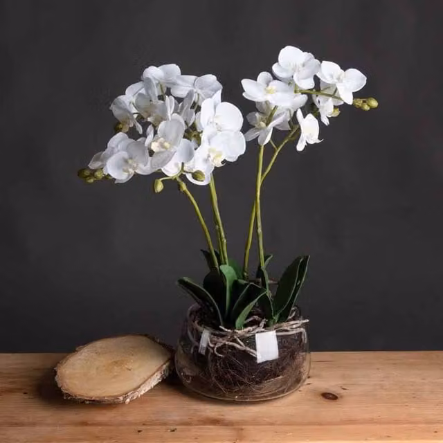 Lemon Pavilion Furniture and Decor White Artificial Orchid in a Glass Pot, W21 x D21 x H61 cm