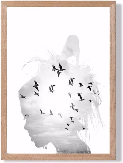 ARTZE Abstract and Seabirds Black and White Photo Framed Print with Oak Frame, A4
