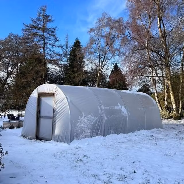 Direct Polytunnels Heavy Duty Professional Straight Sided Polytunnel Kit in Yellow and Transparent with Galvanised Steel Frame
