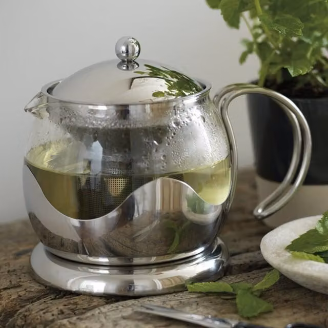 La Cafetiere Glass Loose Leaf Teapot with Infuser in Silver and Transparent