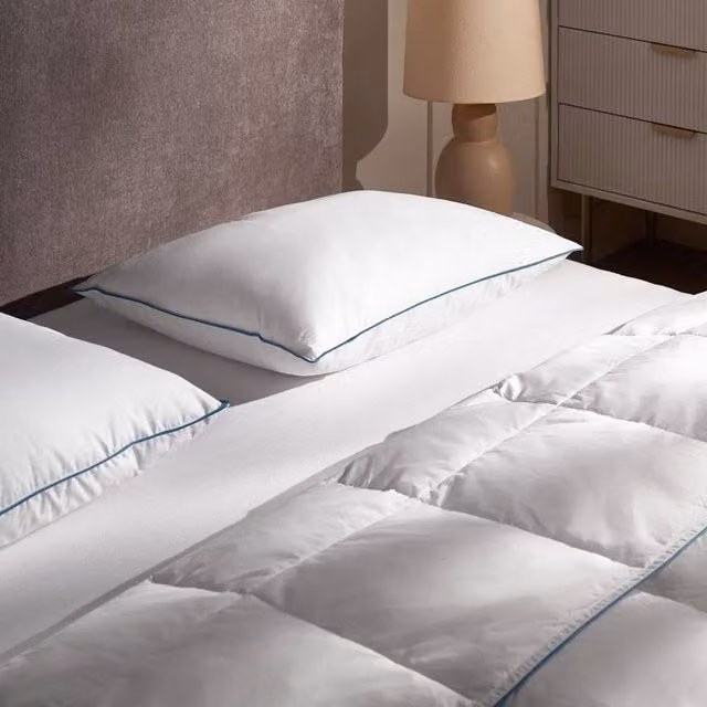 Wyld Haus White Duck Feather and Down Pillow with Cotton Casing, Medium Support, W/D/H: 40 x 60 cm