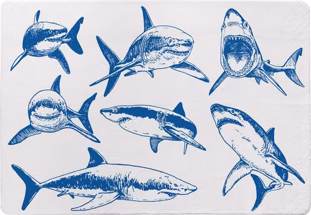 Benjamin Tate Design LTD Blue Sharks Graphical Designer Rug for Childrens Rooms, Blue and White, W: 150 cm