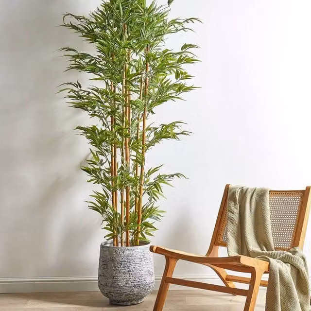 Wyld and Coco Lifelike Bamboo Tree, Green and Black, Height: 220 cm