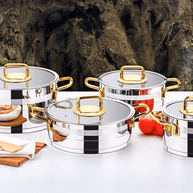 Evimsaray Safir Series 8-Piece Stainless Steel Cookware Set with Glass Lids and Gold Handles in Silver