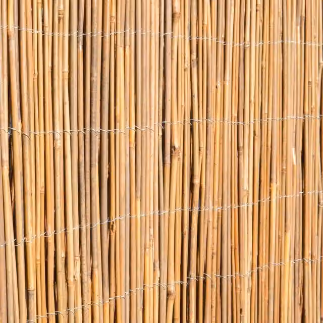 Primrose Woven Bamboo Cane Natural Screening Roll, Brown, W/H: 400 x 1.2 m