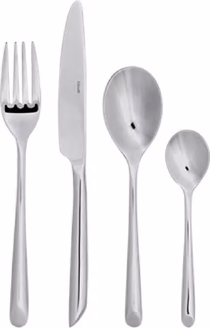 Stellar Raglan 16 Piece Polished Stainless Steel Cutlery Set in Silver