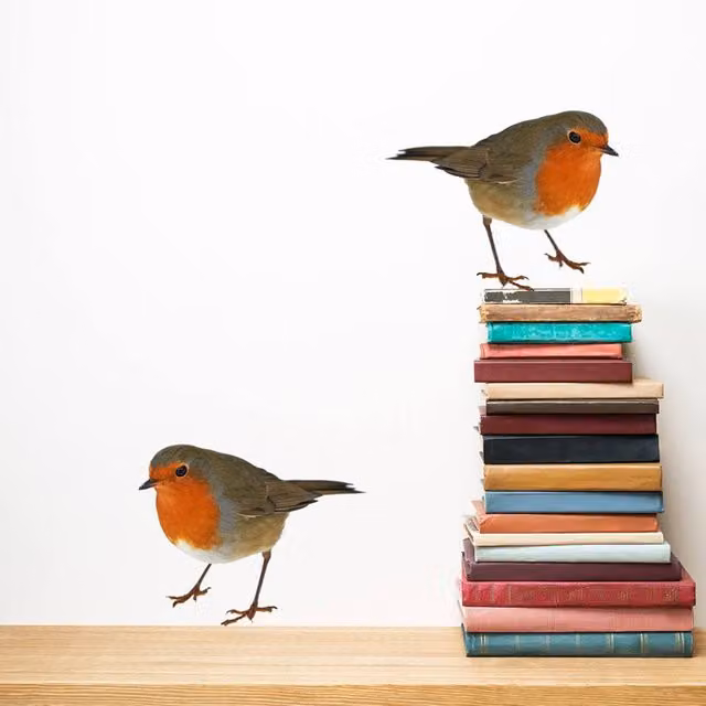 60 SECOND MAKEOVER Multicolour Robin Adhesive Wall Stickers