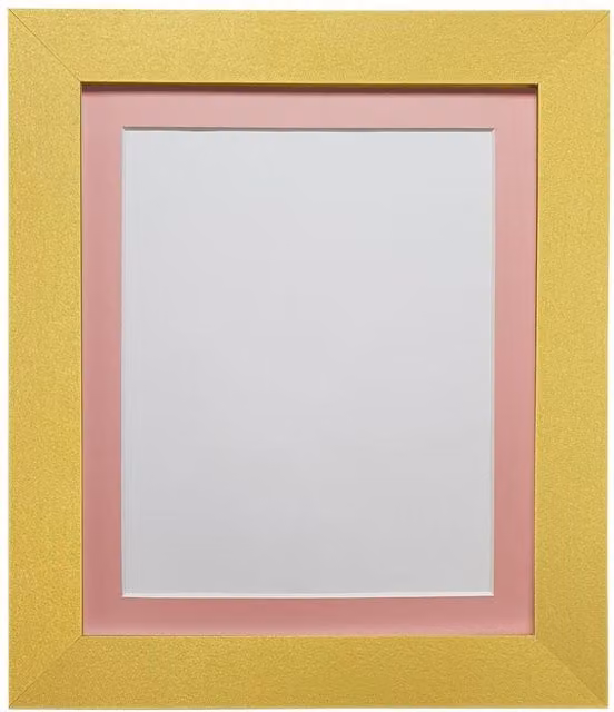 Frames & Mirrors 4U Metro Gold Rectangular Picture Frame with Pink Mount for 20 x 16 Inch Images
