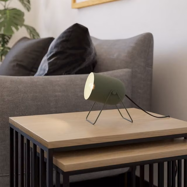 Eglo Tilston Minimalist Adjustable Metal Desk Lamp in Green