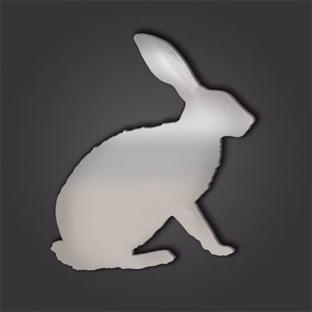 Pet Mirrors Rabbit Style 7 Silver Acrylic Mirror, Silver, Diameter: 45.1 cm