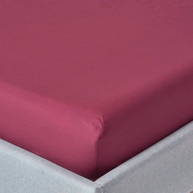 Homescapes 200 Thread Count Egyptian Cotton Percale Extra Deep Fitted Sheet, Purple, W: 90 cm, L: 200 cm
