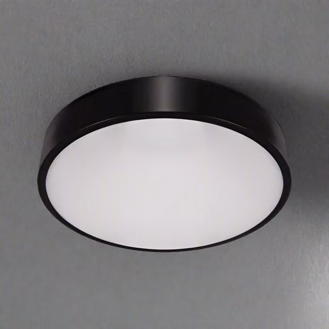 CGC Luna Black Round LED Surface Mount Ceiling and Wall Light, 24W