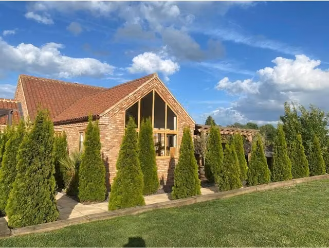 Direct Plants Western Red Cedar Thuja Plicata Green Hedge Plant Pallet of 15 Rootball Trees, 6-7ft