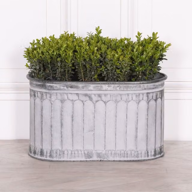 Glasstone Geometric Arched Pattern Metal Tabletop Planter, White, W/D/H: 28.5 x 30.0 x 30.0 cm