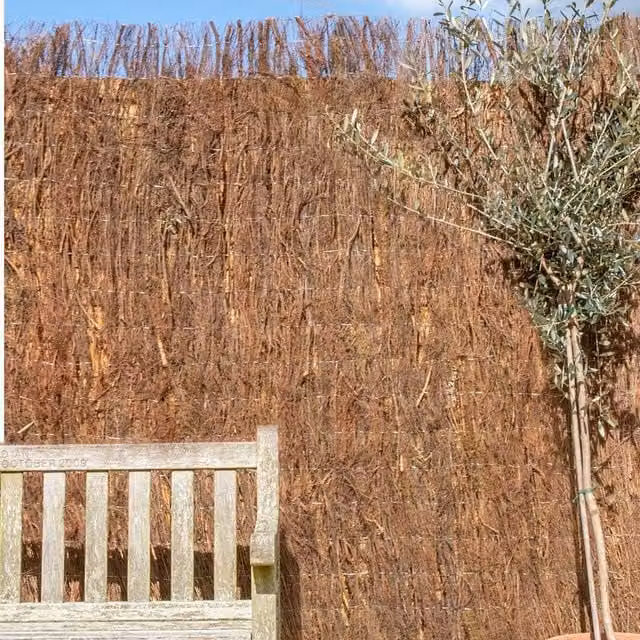 Primrose Woven Wood Brushwood Heather Thatch Natural Screening Roll, Brown, W: 400 cm, H: 150 cm