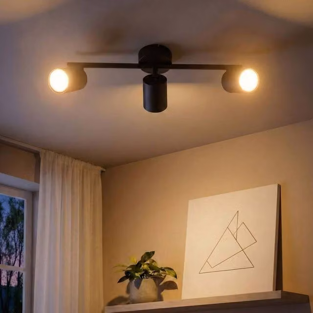 Wyld and Coco 3-Light Black Metal Industrial Adjustable Ceiling Spotlight