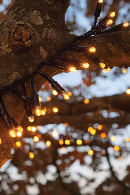 Xmas Haus LED Christmas Cluster Lights in Black with Copper and Gold/Brass Rubber Finish, IP65, 10m