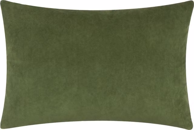 Make It A Home Darland Velvet Cushion in Green with Feather Filling