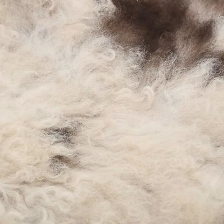 Berkfield Home Multicolour Real Sheep Leather Fur Rug, W: 100 cm, D: 70 cm