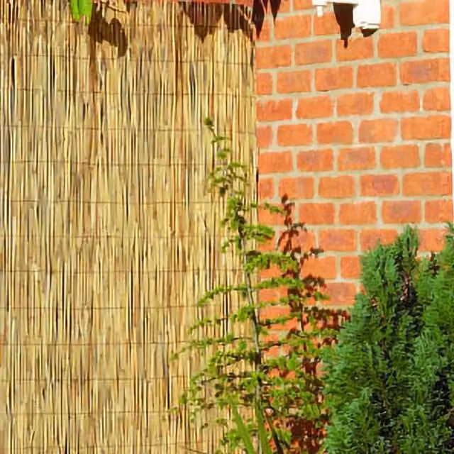 Primrose Woven Peeled Reed Natural Garden Screening Roll, Brown, Height: 180 cm