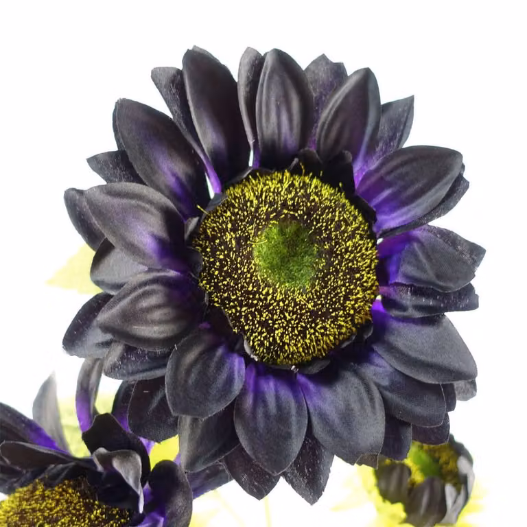 Leaf Premium Purple Artificial Sunflower Arrangement in a Glass Vase, Height: 100 cm