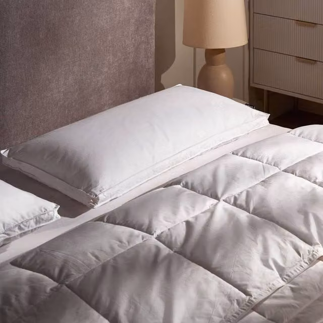 Wyld and Coco 2-Pack White Cotton Duck Down Pillows, W: 40 cm, L: 80 cm, Medium-Soft