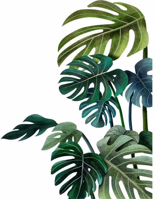 PAWNORA Tropical Leaf Print Adhesive Wall Sticker in Green, W: 30 cm, H: 90 cm