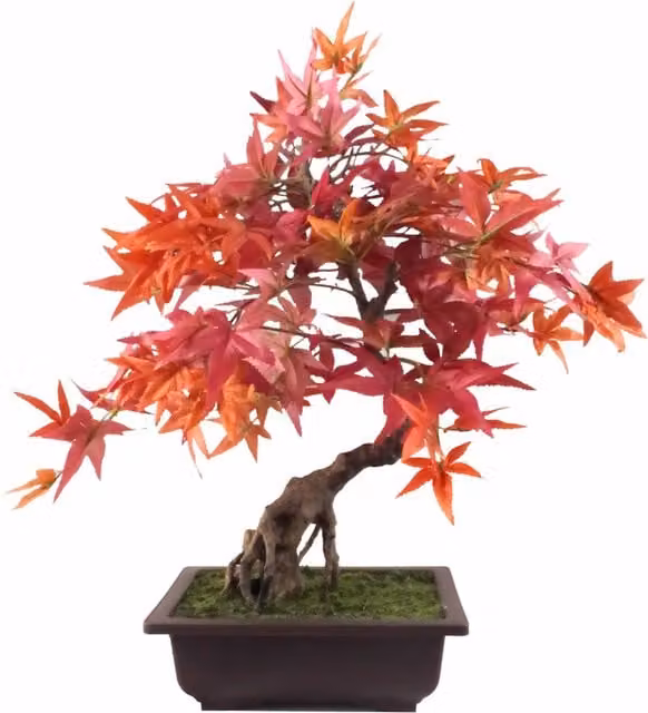 Pegdev 50cm Artificial Red Maple Bonsai Tree with Decorative Planter in Red and Brown