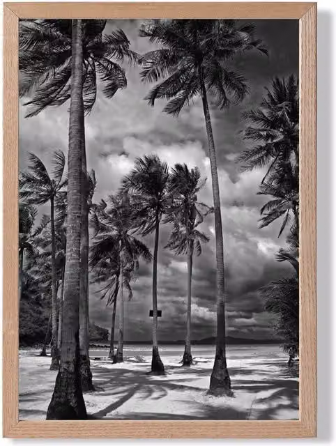 ARTZE Stormy Palm Trees Black and White Framed Photo Print with Oak Frame, A4