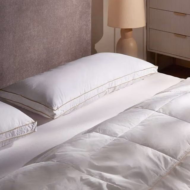 Wyld Haus White Triple Compartment Down and Feather Mix Pillow with Cotton Casing, W/D/H: 80 x 40 x 0 cm