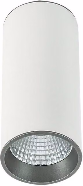 Netlighting Modern Technical LED Surface Mounted Cylinder Light in White and Grey, 4000K Cool White, 820lm