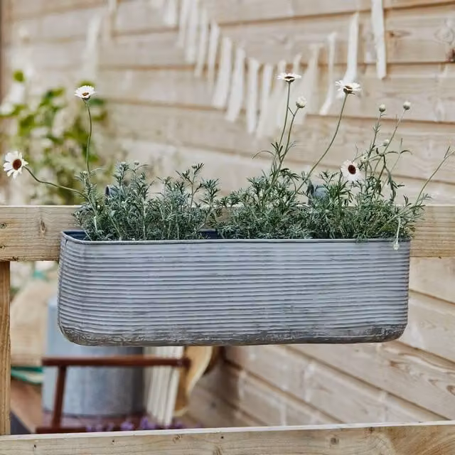 Ivyline Matlock Metal Window Box Planter, Grey, H 23 cm x W 50 cm