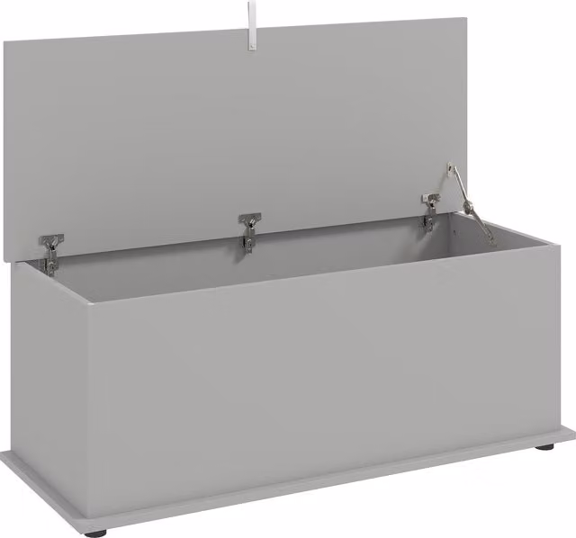 HOMCOM 113L Grey Storage Chest with Flip-Top Lid, W: 100 cm, D: 40 cm, H: 40 cm
