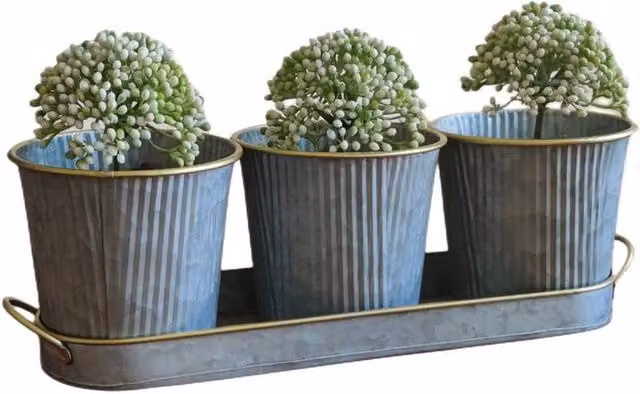 FLAVORA Metal Windowsill Herb Pots with Drainage Tray in Silver and Gold