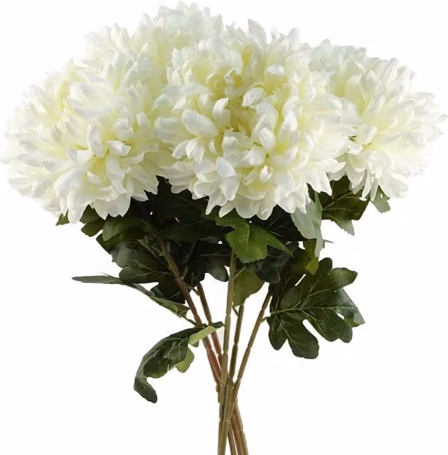 Pegdev Pack of 6 White Reflex Chrysanthemum Artificial Silk Flowers, 75 cm