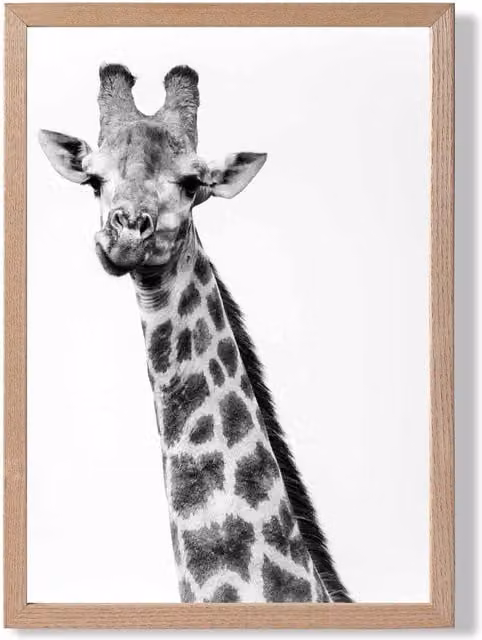 ARTZE Cheeky Giraffe Black and White Animal Photo Framed Print with Oak Frame, A3