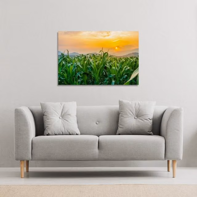 Benjamin Tate Design LTD Green Corn Field Landscape Canvas Print, W: 152 cm, H: 101 cm