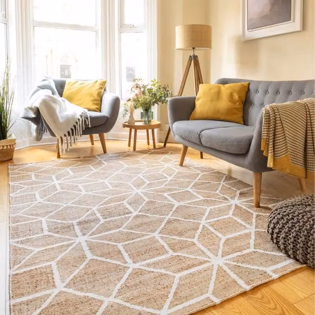 The Rug House Geometric Woven Jute Area Rug in Beige and Brown, W/D: 170 x 120 cm