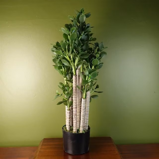 Leaf Green Potted Artificial Plant, Height: 75 cm