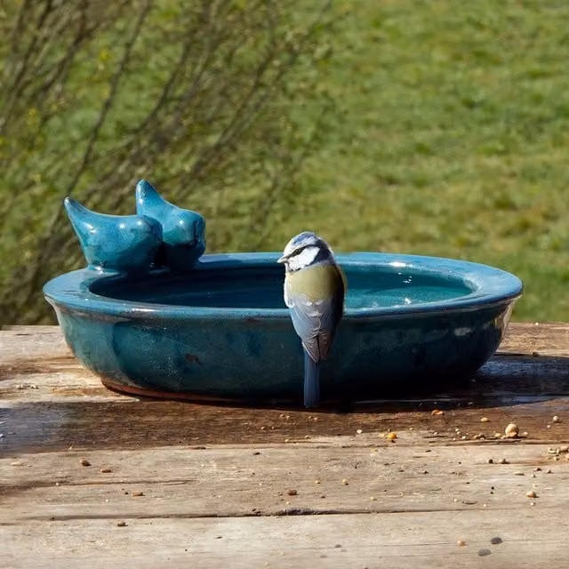 Primrose Round Glazed Ceramic Bird Bath Bowl in Petrol Blue