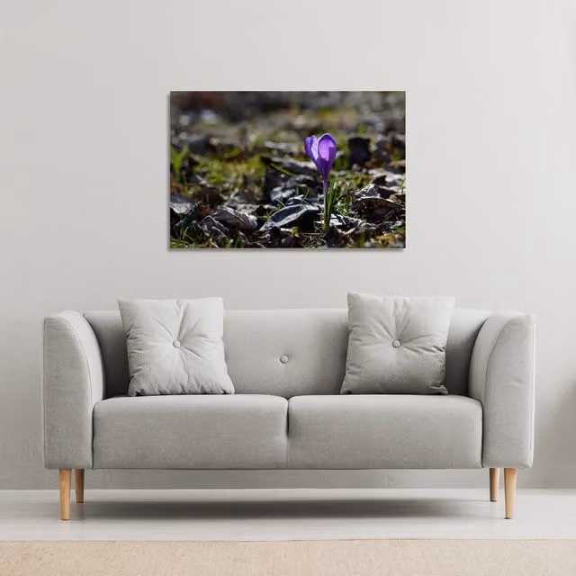 Benjamin Tate Design LTD Autumn Flower Bloom Nature Canvas Print, Purple, W: 127 cm, H: 101 cm